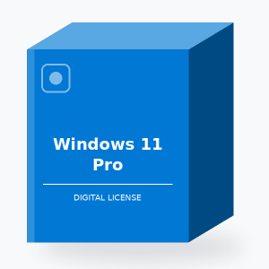 Windows 11 Pro